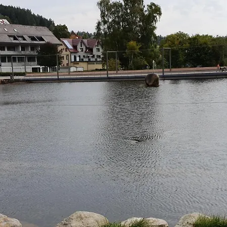 Ferienwohnung Zur Stadt Triberg Apartment *
