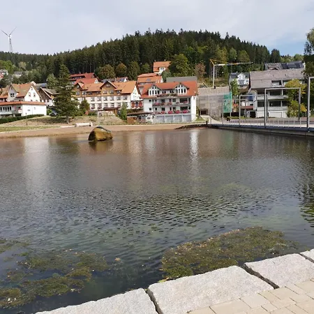 Apartment Ferienwohnung Zur Stadt Triberg